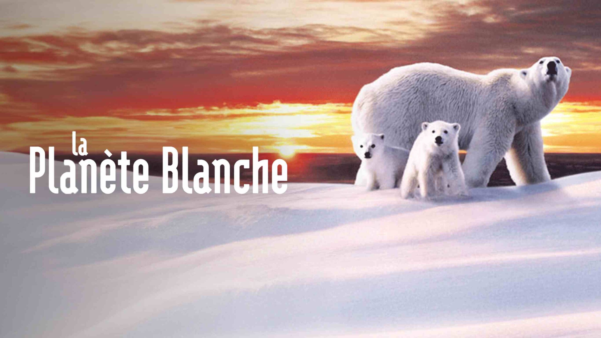 La Planète Blanche documentaire