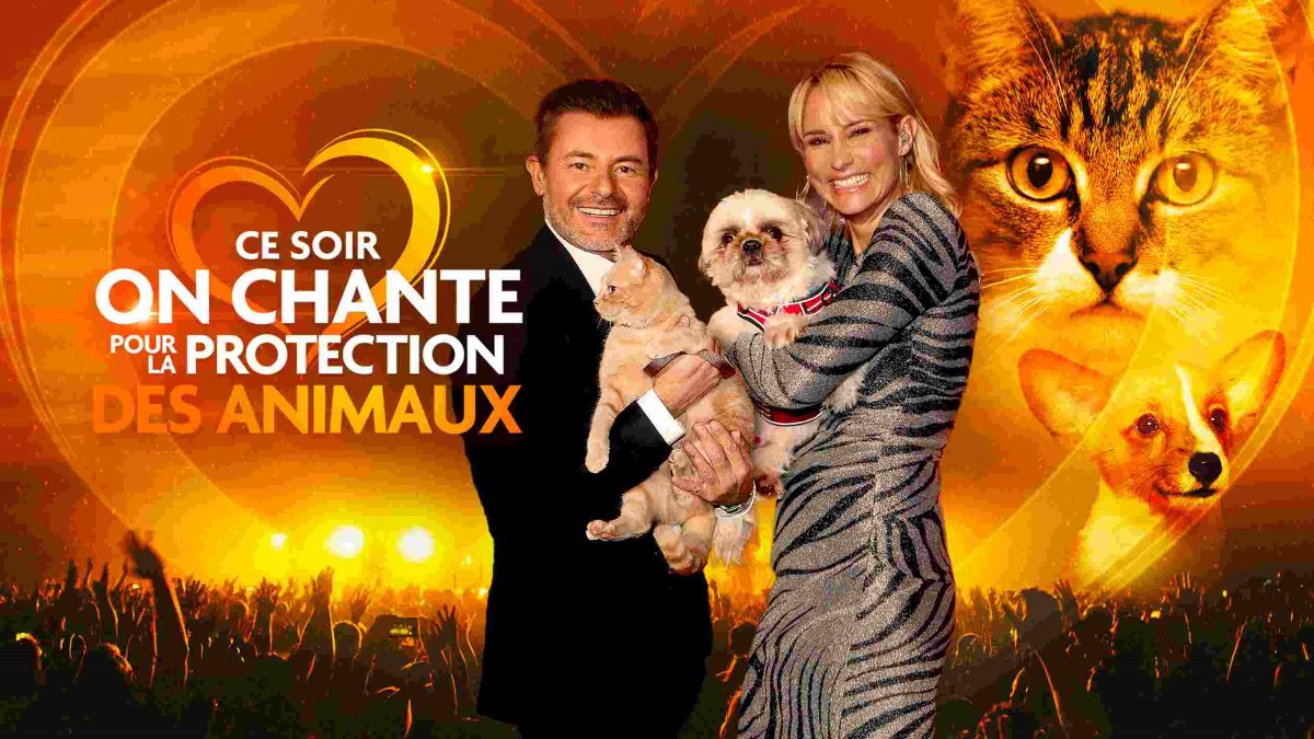 Ce soir on chante pour la protection des animaux spectacle W9