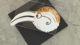 La recette de gâteau “Le médecin de Venezia” de Pierre pour l’épreuve créative du Meilleur Pâtissier (émission 3)
