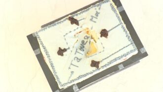 Découvrez la recette de gâteau “le tatouage” d’Adrien pour l’épreuve créative du Meilleur Pâtissier 2025 (émission 4)