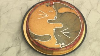 La recette de la tarte Ying-Yang matcha, fraise &amp;amp; noisette de Camille pour l’épreuve créative du Meilleur Pâtissier 2025 (émission 5)