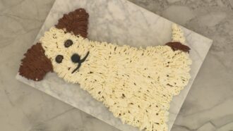 La recette d’entremets chien chocolat, coco et ananas de Clara pour l’épreuve créative du Meilleur Pâtissier 2025 (émission5)