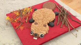 La recette de gâteau chocolat, cacahuète, cassis en forme de castor d’Elsa pour l’épreuve créative du Meilleur Pâtissier 2025 (émission 5)