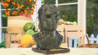 La gâteau “Alexandre le grand” d’Adrien du 27 novembre : recette complète (Le Meilleur Pâtissier)