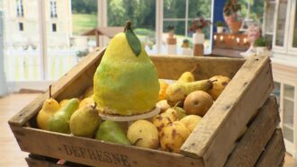 Poire XXL : la recette de Seb pour du 20 novembre 2025 (Le Meilleur Pâtissier)