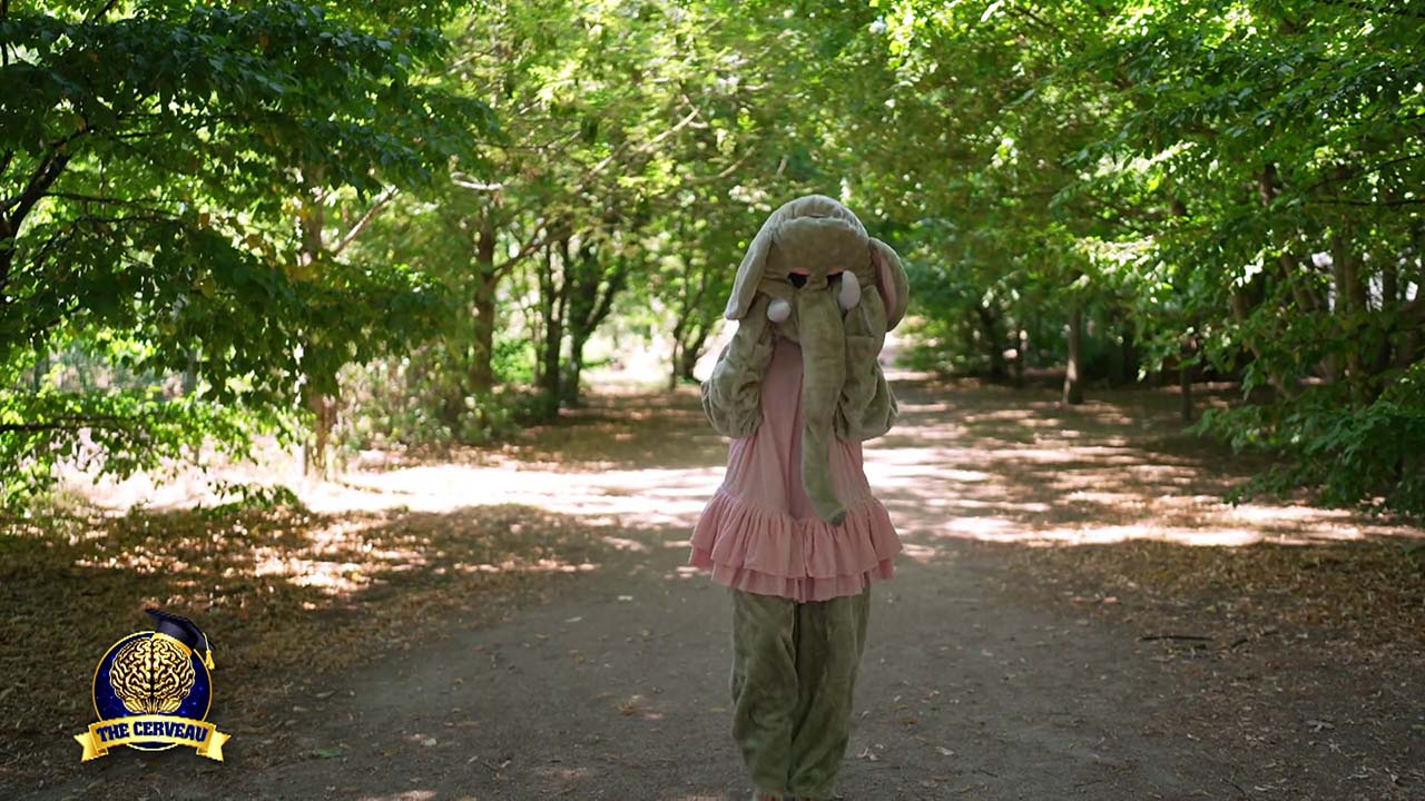 Candidat mystère entrée de Beverly The Cerveau 2025