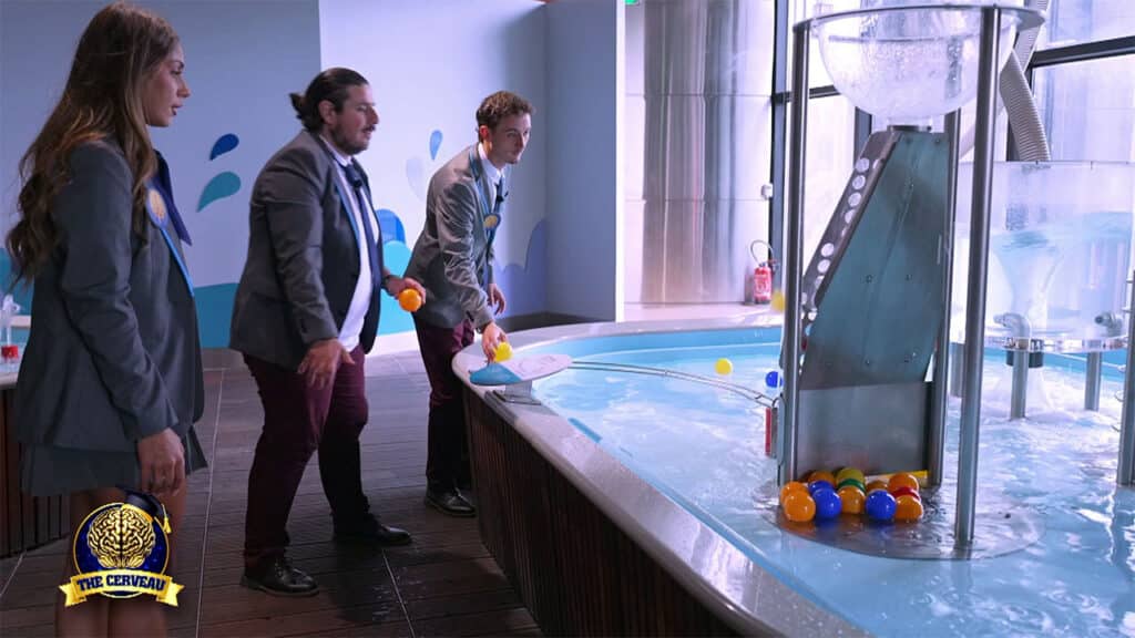Les Alpha s'amusent au lieu de réviser dans The Cerveau du 28 novembre