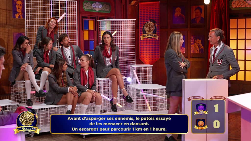 Les Beta se défendent face aux Alpha dans The Cerveau 2025