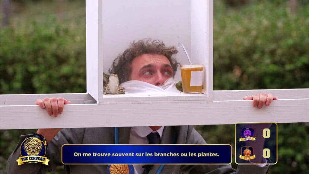 Nicolas récupère une indice pour l'équipe Alpha dans The Cerveau du 28 novembre