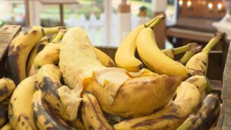 “Bababa Babanana” : la recette de Margot pour l’épreuve créative du Meilleur Pâtissier du 20 novembre 2025