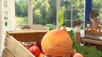 Pêche XXL : la recette du gâteau d’Adrien pour l’épreuve créative du Meilleur Pâtissier 2025 (M6)