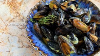 Tous en cuisine avec Cyril Lignac : recette des moules frites